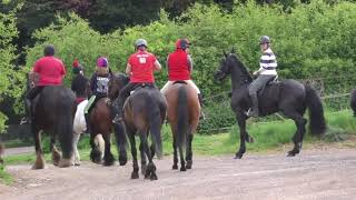 Highmoor Blood Hounds Gallop on Friesian Horse Apollo [upl. by Nylehtak]