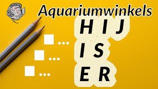 Aquariumwinkels Website is Online   Aquarium Sunshine Valley [upl. by Ohl]