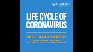 Life Cycle of the Coronavirus [upl. by Colwin]