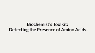 General Tests for Amino Acids Proteins  Discussion [upl. by Ayekam773]