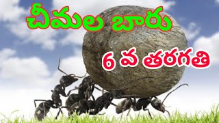 chimala baaru 6th class telugu lessonచీమల బారు 6రవ తరగతి తెలుగు పాఠం [upl. by Anorahs]