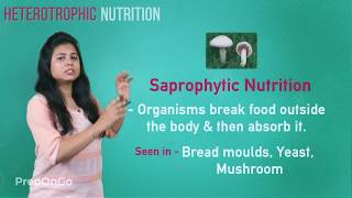 Life Process  4  Heterotrophic mode of nutrition  CBSE Class 10 [upl. by Hennessy]