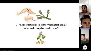 Biología  celular y molecular explicación del organismo de la papa [upl. by Jankey]