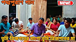 তুমি ত্রিজগতের মা আমায় নিধন হইও না  maa manasar gaan [upl. by Ariahaj]