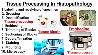 Tissue processing In Hindi  Embbeding  Staining  Deperaffinization  Sectioning of Tissue [upl. by Ewer]