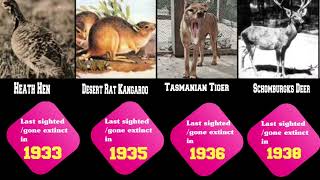 Top 10 Extinct Animals That Have Gone Extinct in the Past 100 [upl. by Moreta71]