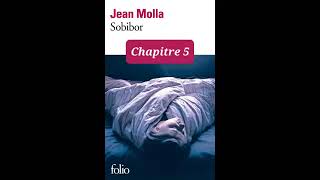 5  Sobibor  livre audio  Chapitre 5  Jean Molla  lecture et résumé [upl. by Uaeb983]