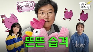 뜬뜬방문은 핑계고  🎥라이브 짧게보기 [upl. by Jenne398]