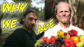 Why Fruitarians Age So Quickly The Glycation Effect [upl. by Hillary463]