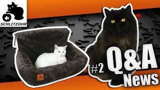 🔥QampA 2  Wie alt sind unsere Katzen  Katzenangel News  neues Schlitzohr Produkt [upl. by Aiduan]