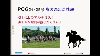 【POG2425】第46回 有力馬出走情報！ 年末までの１勝クラス以上の2歳戦をまとめました [upl. by Anidan]