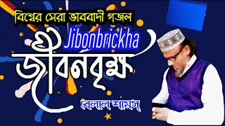 বিশ্বের সেরা ভাববাদী গজলজীবনবৃক্ষJibonbrickho  gojol ghazal Islamic belalshamsVabbadiGhazal [upl. by Dnalyar]