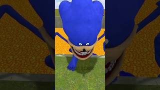 SONIC TAPES or SPONGE BOB TAPES FAMILY vs SPARTAN KICKING BIG HOLE LAVA in Garrys Mod [upl. by Wilona429]