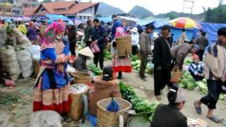 ベトナム・バックハー市場（bacha market） [upl. by Airekat]