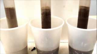 Class Demonstration of Capillary Rise [upl. by Atires]