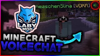 VOICECHAT in Minecraft Labymod 330 Installation amp Einstellung [upl. by Bobbe]