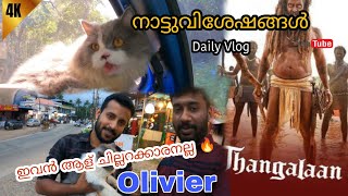 പാലോട് നിന്ന് വിതുരയിലേക്ക്Olivier Cat Thangalaan Movie  Pet market VithuraPalode Trivandrum [upl. by Brouwer]