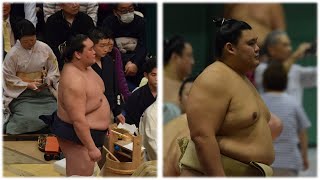 Terunofuji OUT of September Onosato amp Wakatakakage carry hopes Sumo News Sep 6th [upl. by Polak90]