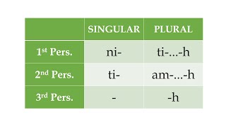 Feature Focus  Verb Agreement [upl. by Oine]