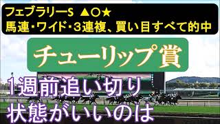 チューリップ賞2024 1週前追い切り 上位拮抗で混戦模様。 [upl. by Munt89]