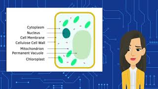 GCSE AQA Biology Topic 1  Cell Biology [upl. by Blunk]