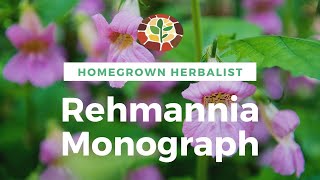 Rehmannia Monograph  Herbal Review with Doctor Jones [upl. by Berns652]