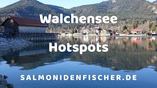 Walchensee  Seeforellen Hotspots  Angeln  Fischen  Fishing  Salmoniden [upl. by Aizirtap]