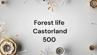 Puzzle Time Lapse Forest life Castorland 500 [upl. by Werda606]