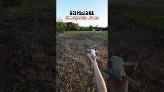 💥DJI Mini 2 SE Emergency Brake dji drone [upl. by Bertila538]