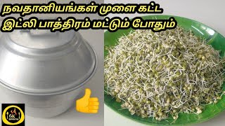 நவ தானியங்கள் முளை கட்ட இட்லி பாத்திரம் மட்டும் போதும் how to make sprouts in tamilsprouts recipe [upl. by Aural175]