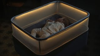 10 Best Baby Bassinets For Newborn of 2024 [upl. by Haelam235]