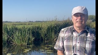 Natuurvrienden Vinkeveense Plassen  Reservaat Polder Demmerik belangrijk voor natuurontwikkeling [upl. by Beal]