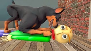 BALDIS DOG Baldis Basics Animation and Meme Compilation [upl. by Altman]