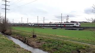 SBB RABe 523 Mouette slow pass by in Bassersdorf [upl. by Weiman986]