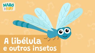 A libélula e outros insetos – vídeos musicais educativos  maboefifi [upl. by Mcclain]