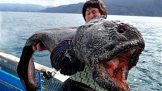 5 Shocking Fishing Moments Caught On Camera [upl. by Nica]