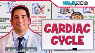 Cardiovascular  Cardiac Cycle [upl. by Johnsson559]