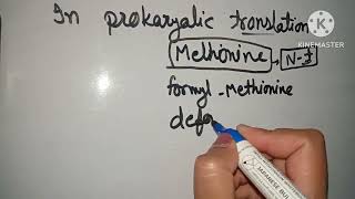 prokaryotes translation initiation amino acid always methionine hota h ya no nahi [upl. by Wilburn]