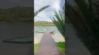 29 Cooran Court Noosa Heads QLD 4567 luxuryrealestate waterfrontproperty luxuryhomes [upl. by Ledba]