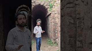 राजाओं के समय की मार्केट। reels short Heritage history hindi india SathlatheVlog [upl. by Lammaj]