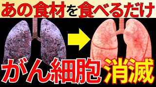 【永久保存版】世界が認めた！がんのリスクを下げる最強の食品10選【癌細胞消滅】 [upl. by Merline]