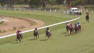 Nanango 16122023 Race 2 [upl. by Twila]