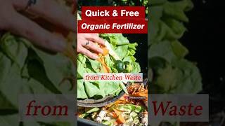 Quick amp Free Organic Fertilizer from Kitchen Waste  DIY Liquid Fertilizer [upl. by Zanahs]