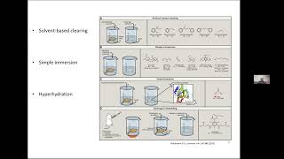 20240206 Clearing and expansion microscopy [upl. by Enalb922]