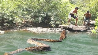 Documentaire sur la chasse 6  se battre avec le serpent géant sur la rivière  les serpents [upl. by Htessil151]