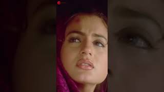 gadar movie song [upl. by Niad]