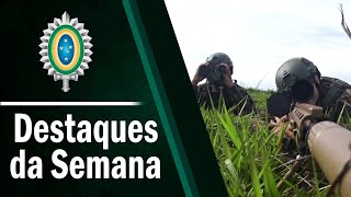 Destaques da Semana  16 a 21 de novembro [upl. by Staley]