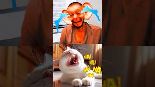 Tom sings seek cat help for his painful ear [upl. by Neibart]