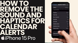 How to Remove the Sounds and Haptics for the Calendar Alerts on the Iphone [upl. by Mathilda]