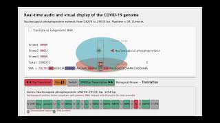 The Sound of the quotNucleocapsid Phosphoproteinquot gene from SARSCoV2 [upl. by Baerman]